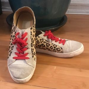 Cheetah sneaks for the win!
